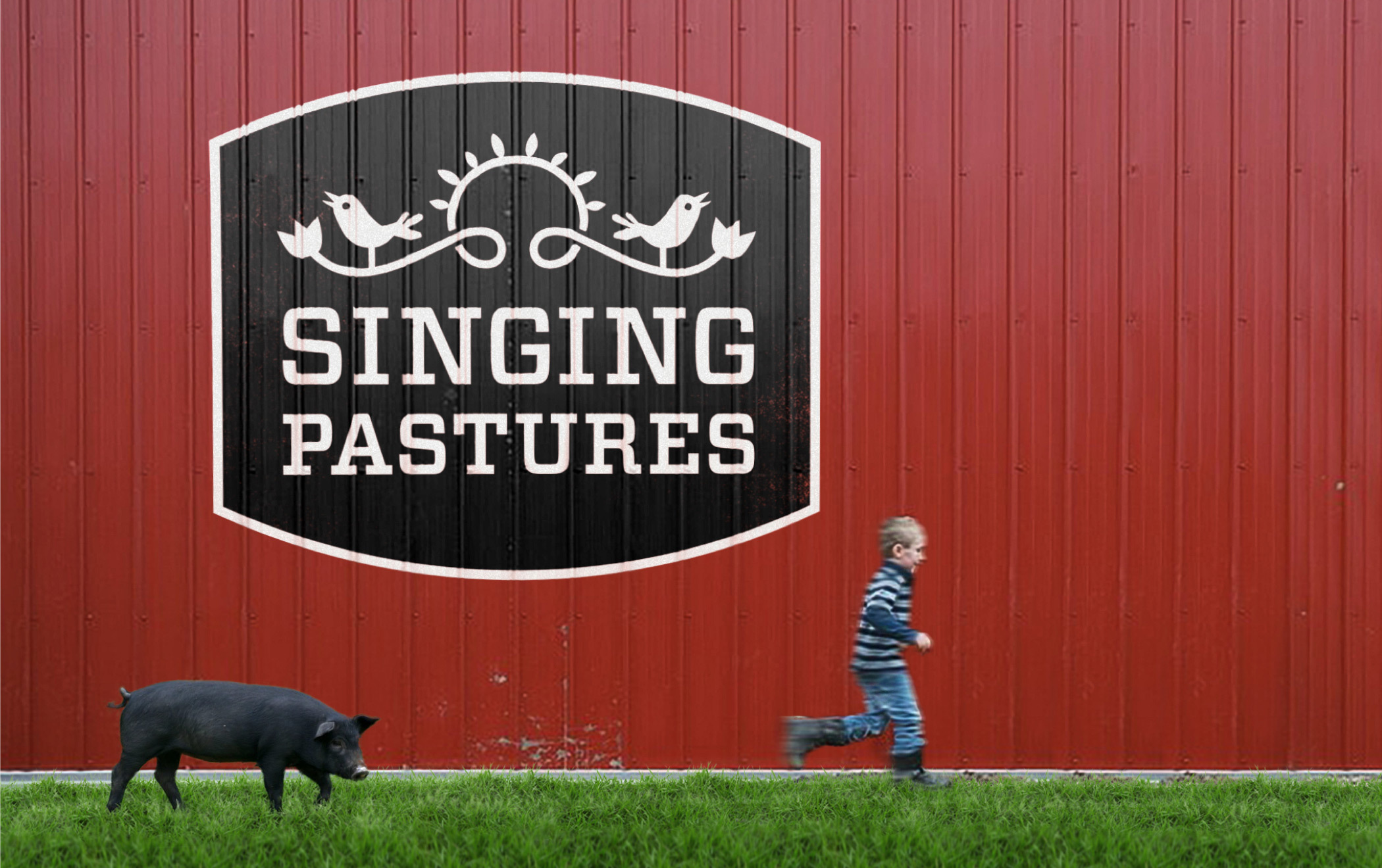 A large Singing Pastures logotype painted on a red barn wall with an illustration of a bird perched on a flowered vine. 