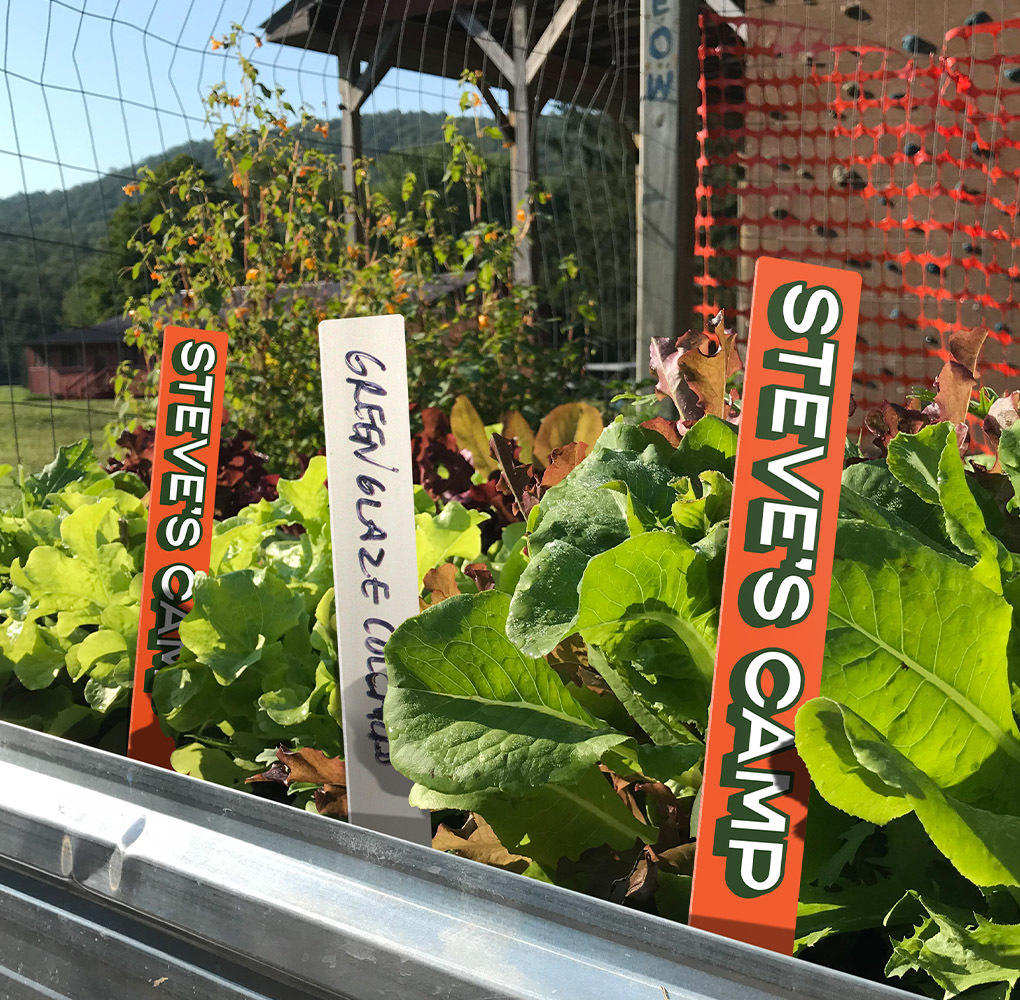 Close up of a garden with lettuce and branded plant stakes with the camp's name