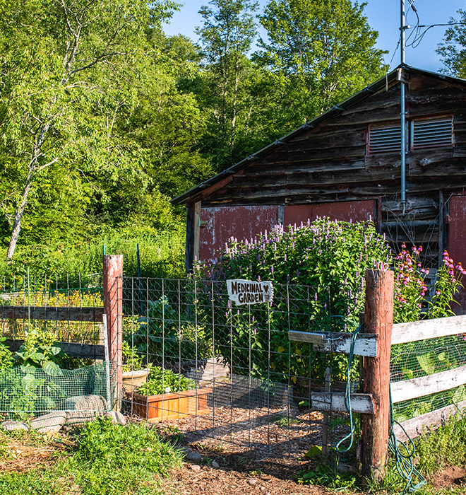 A small herb garden in front of a barn