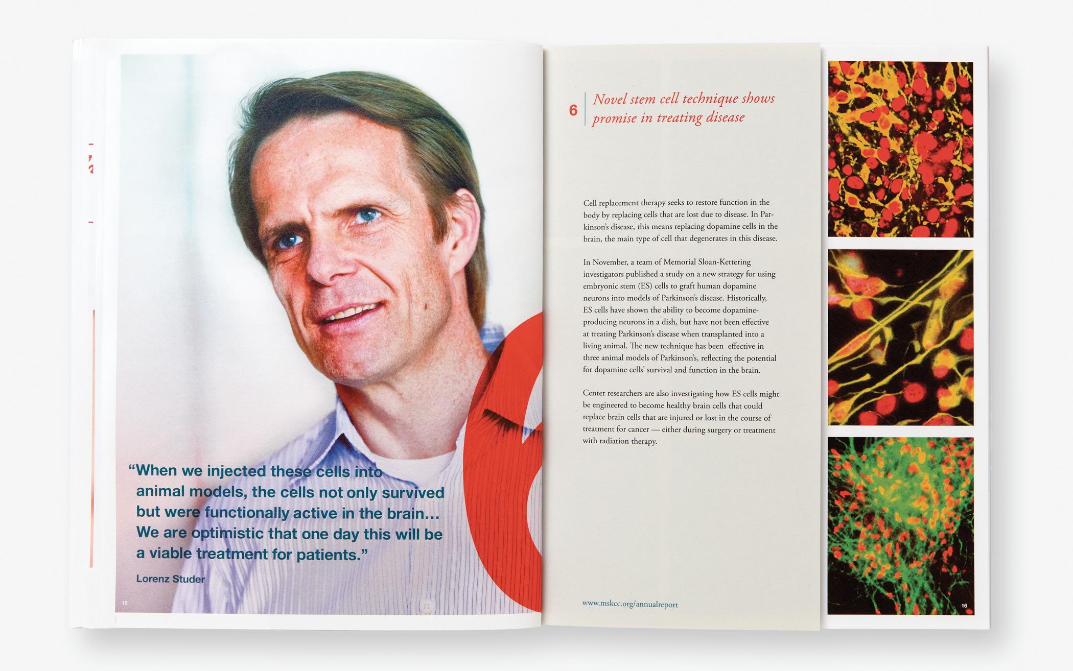 A portrait of Doctor Loren Studer discussing stem cell research in the Memorial Sloan-Kettering 2011 annual report.