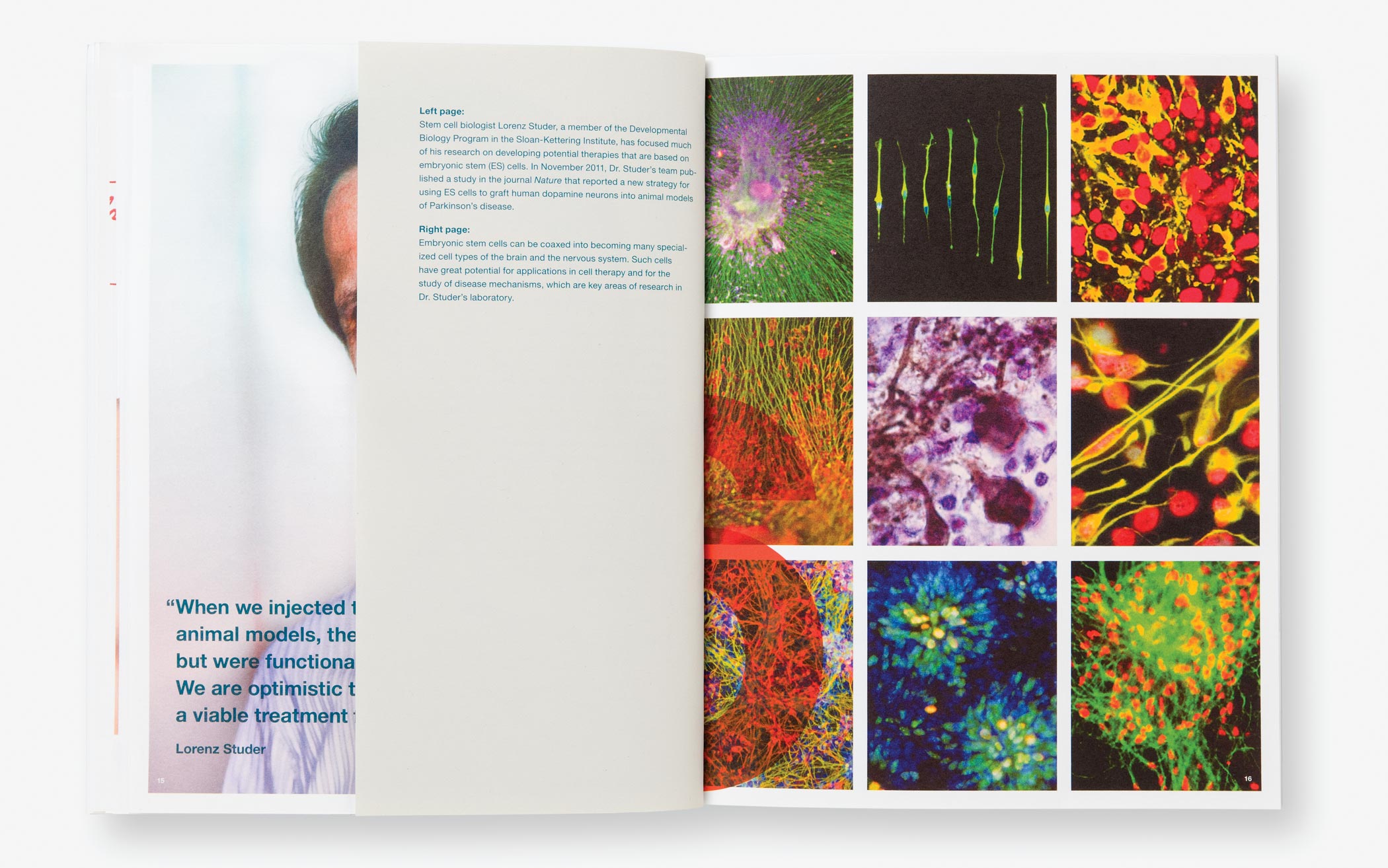 A grid of nine colorful microscopic images of stem cells from the Memorial Sloan-Kettering 2011 annual report.