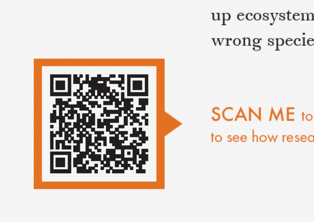 A close up detail of the design components from the brochure. A QR code with partially visible text that begins, scan me.