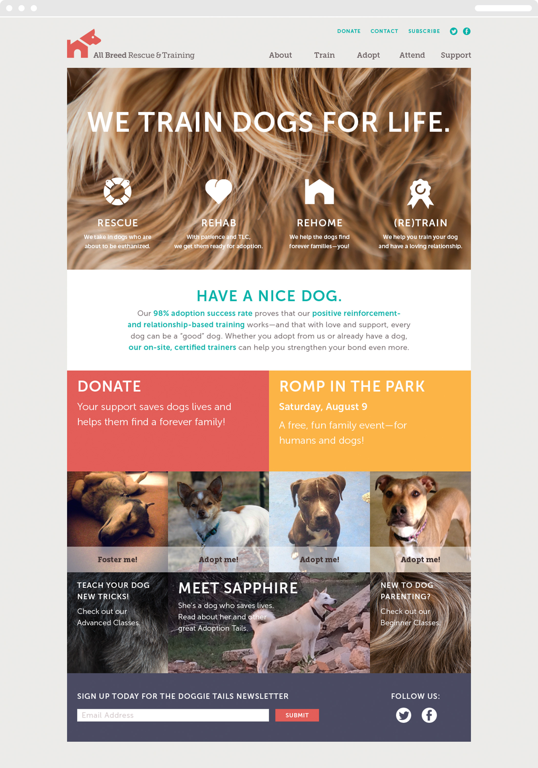 All Breed Rescue and Training web homepage, with the headline, "We train dogs for life," and descriptions of their services.