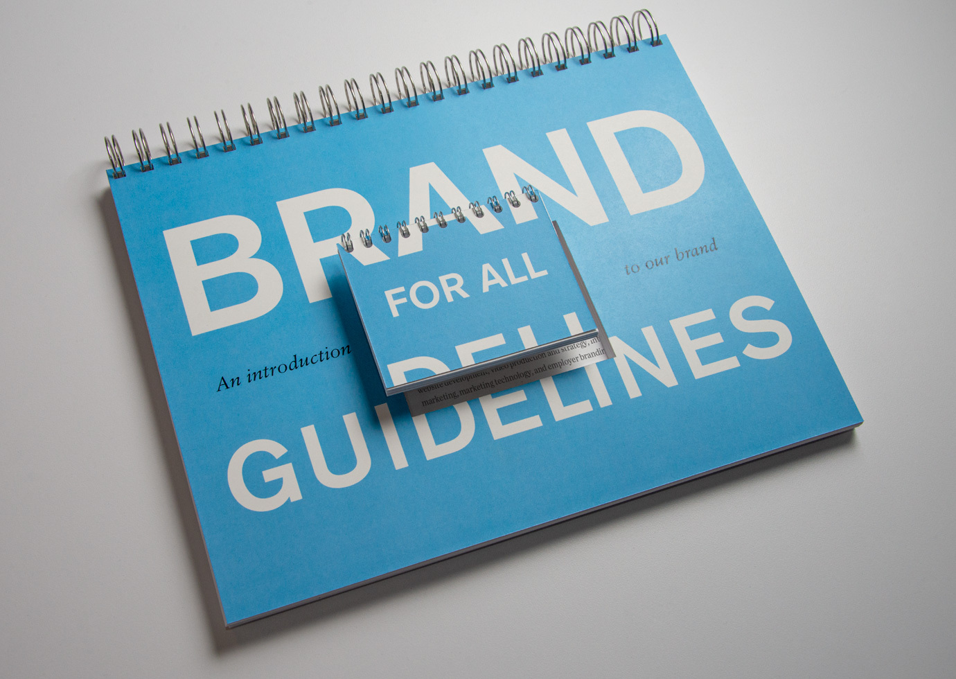 A large blue bound brand book with an identical tiny book perched on top of it with the title text, Brand for all guidelines.