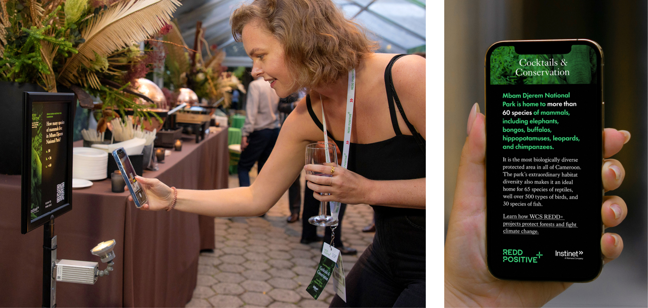 A guest leans forward to scan a QR code on a small with her phone at the REDD Positive Cocktails and Conservation launch event.